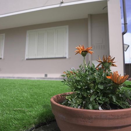 L'Angolo Verde Cascina Dış mekan fotoğraf